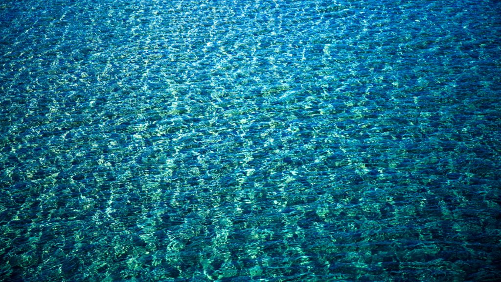 body of water to dive in